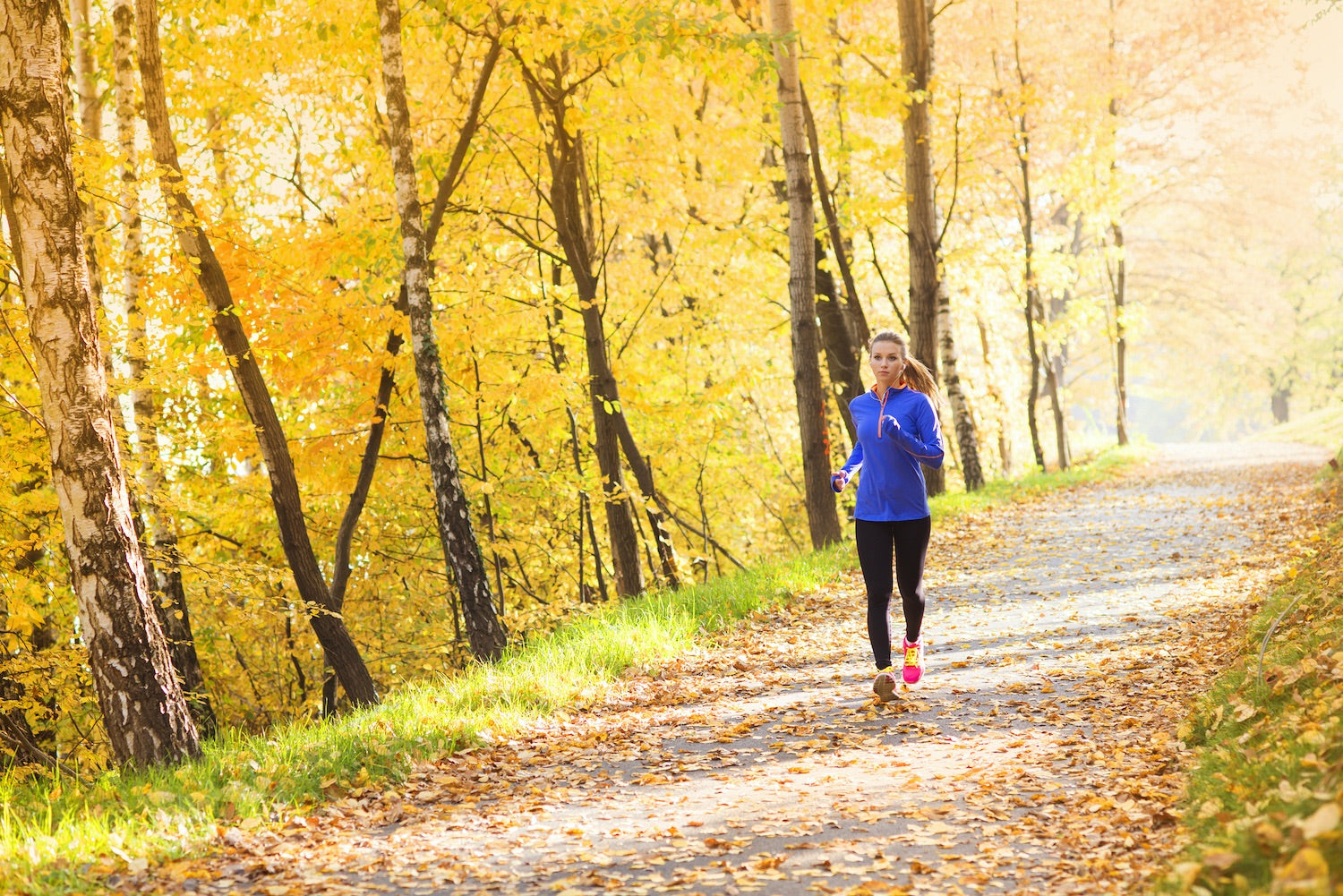 Turning a New Leaf: Revamp Your Workout for Fall